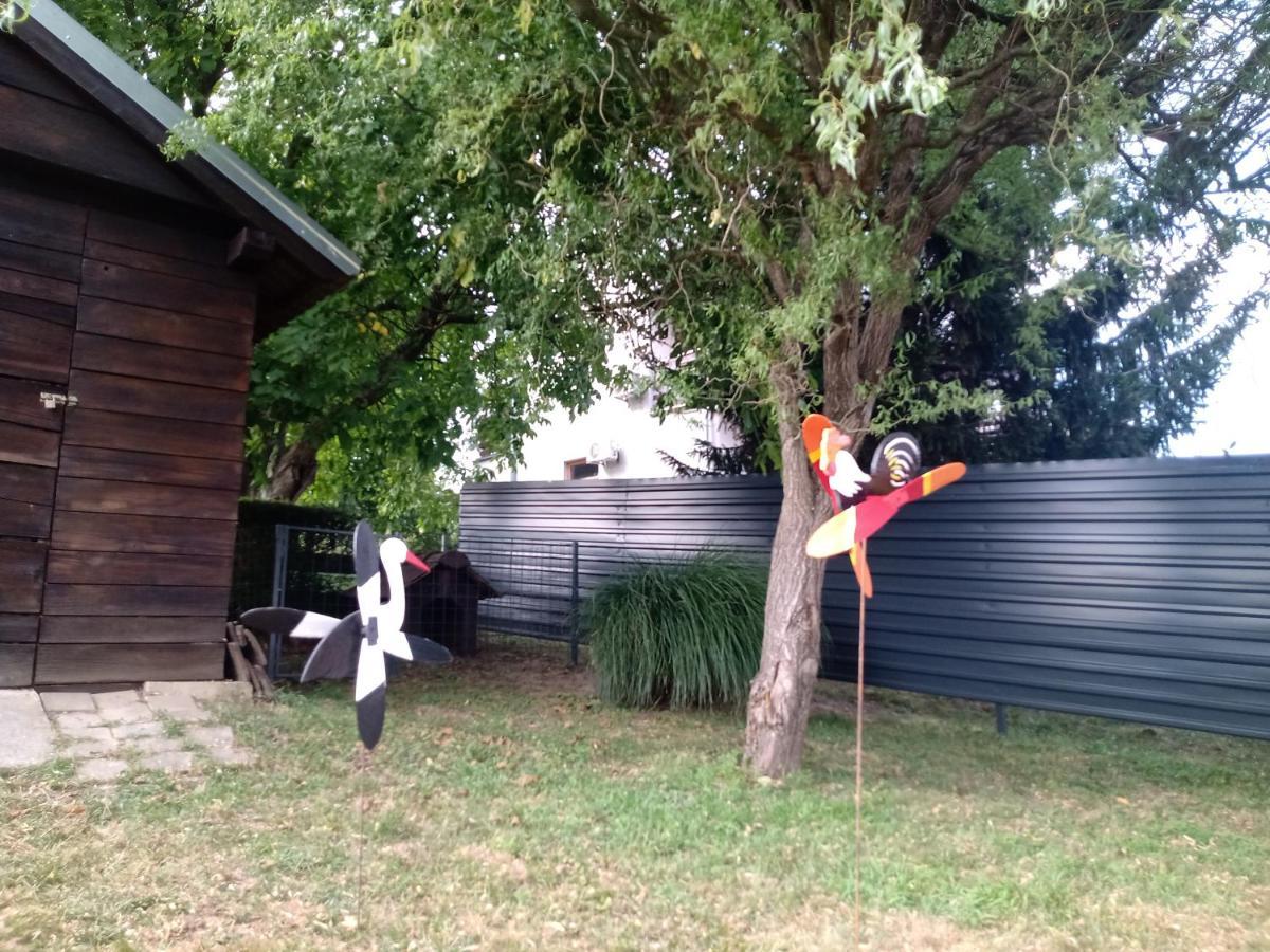 Kuca Za Odmor Jasmin Villa Sveti Martin Na Muri