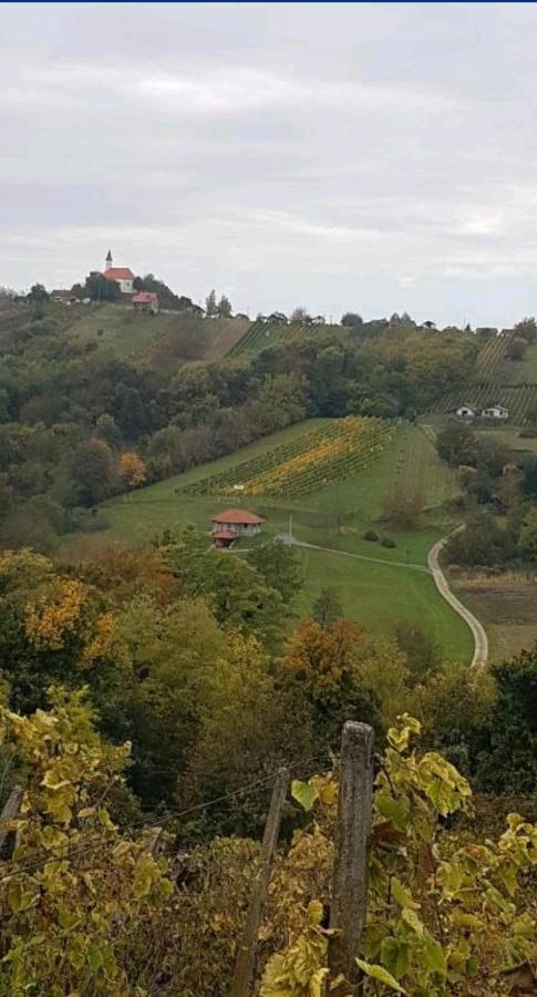 Kuca Za Odmor Jasmin * Sveti Martin Na Muri